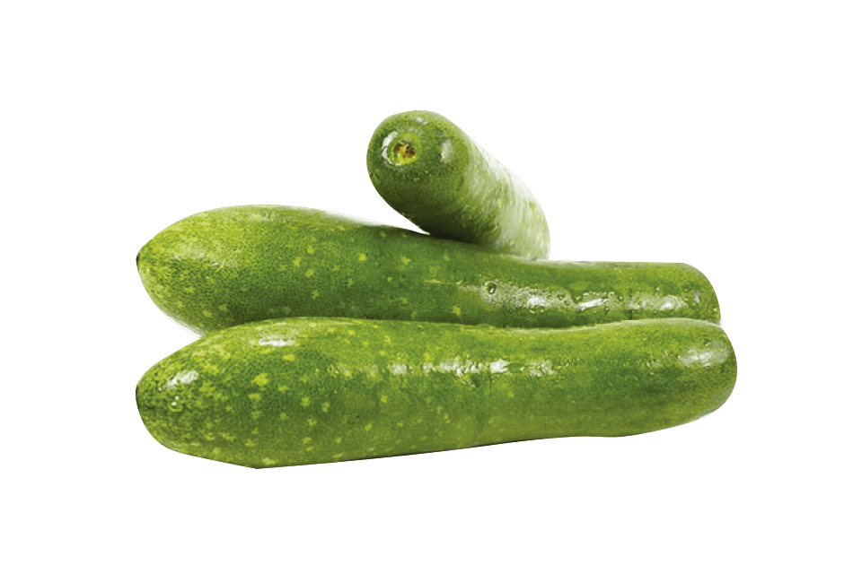 Fuzzy Squash Vermes LLC